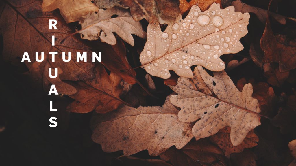 AUTUMN RITUALS, MODA, PELUQUERÍA